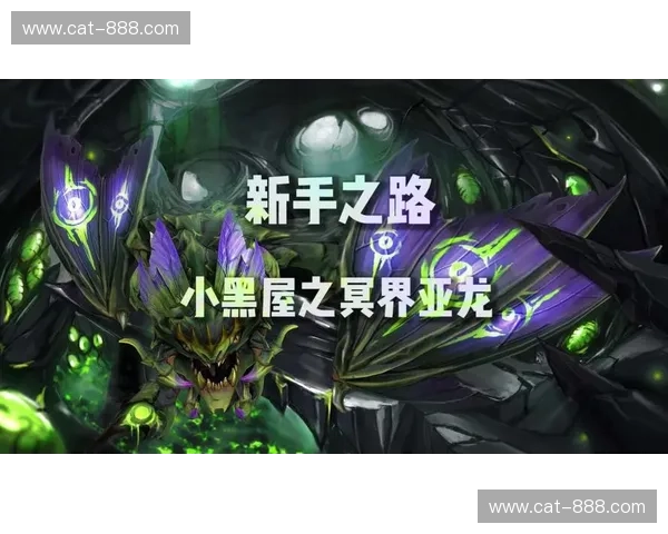 从新手到大师全面解析DOTA2博士的成长之路与竞技智慧 从新手到大师全面解析DOTA2博士的成长之路与竞技智慧