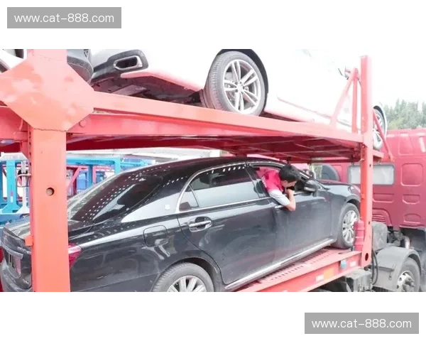 探索宿舍英雄官网最新资讯与玩家互动社区指南全面实用玩法全解读本